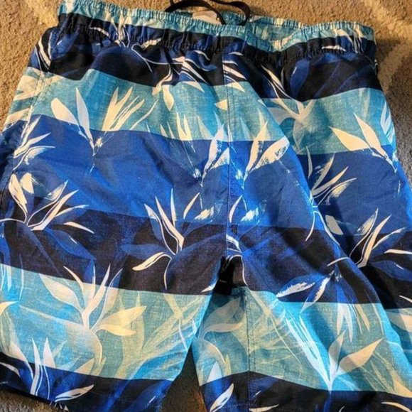 Mens Size Large Swim Trunks - Picture 1 of 2